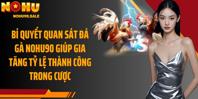 Bí quyết quan sát đá gà Nohu90 giúp gia tăng tỷ lệ thành công trong cược